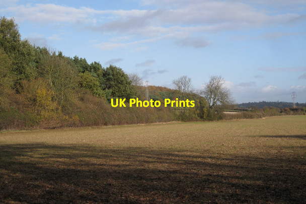 Photo 6"x4" Corner of wood east of Middle Woodloes Warwick c2009