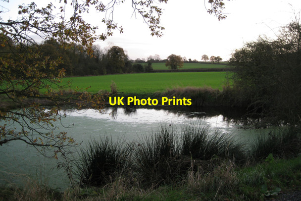 Photo 6"x4" A pond north-west of Larch Covert Waste Green c2009