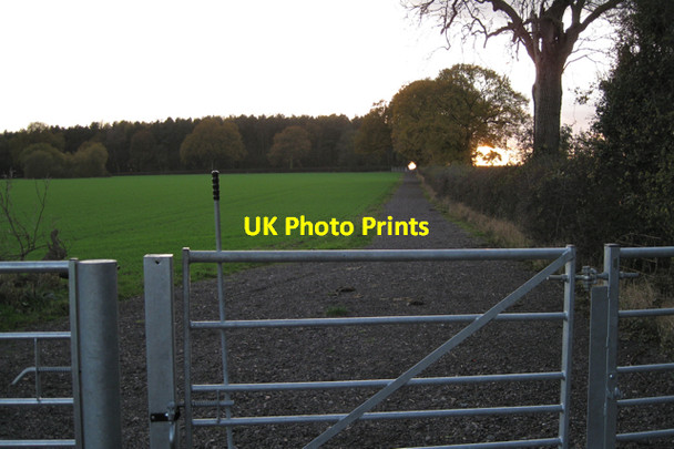 Photo 6"x4" Deer Park Wood beyond new gates Waste Green c2009