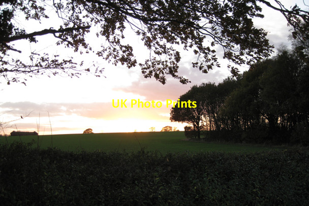 Photo 6"x4" Corner of Deer Park Wood from Wedgnock Lane Waste Green c2009