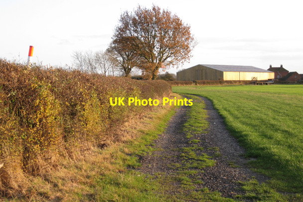 Photo 6"x4" Parish boundary hedge north of Deer Park Farm Waste Green c2009