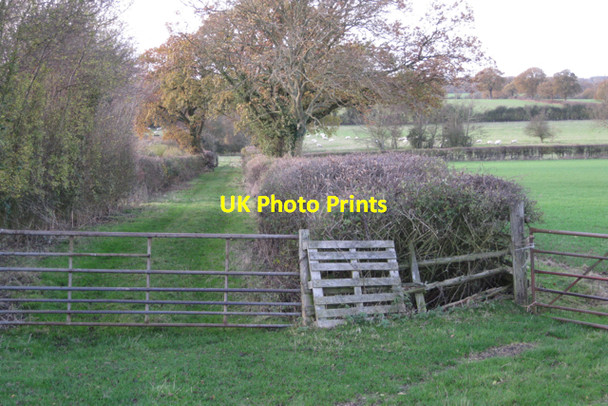 Photo 6"x4" Grassy track between fields west of Bannerhill Farm Waste Green c2009