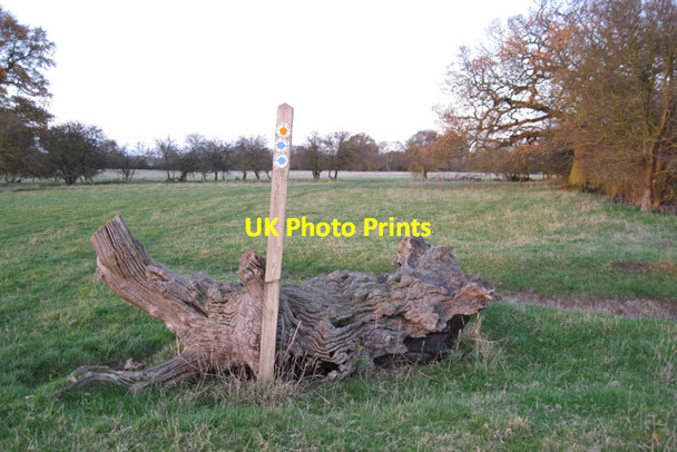 Photo 6"x4" Junction of footpath and bridleway by Inchford Brook Waste Green c2009