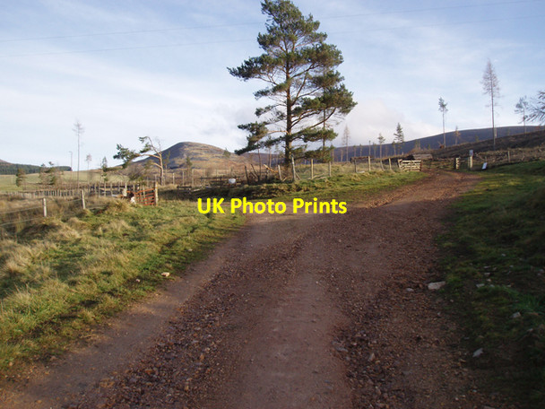 Photo 6"x4" Track junction south of Whitefolds Farm Tomnavoulin c2009