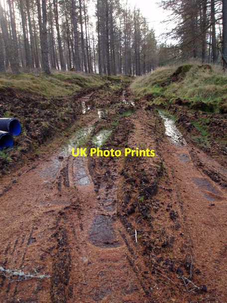 Photo 6"x4" Muddy track in plantation Cairn Dregnie c2009