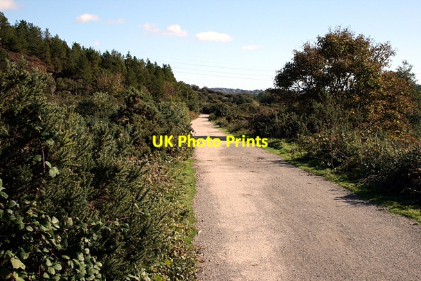 Photo 6"x4" Coast to Coast cycle path near Twelveheads Coombe\/SW7641 c2009