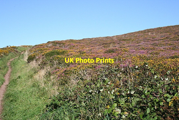 Photo 6"x4" Footpath on St Agnes Beacon Higher Bal c2009