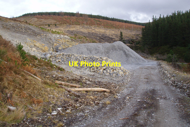 Photo 6"x4" Quarry in Morinsh Wood Shenval\/NJ2129 c2009