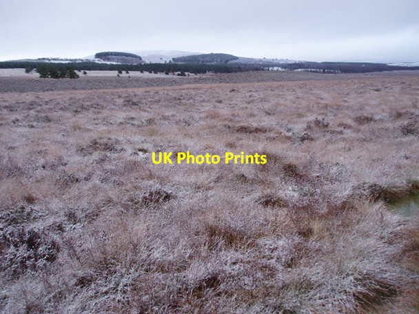 Photo 6"x4" Bogs SE of Sliemore Wood Clachaig\/NJ0218 c2009