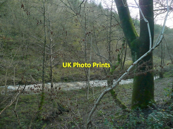 Photo 6"x4" Soudley Brook 1 Upper Soudley c2009