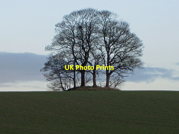 Photo 6"x4" Howe Hill, Wootton Wootton\/TA0816 c2009