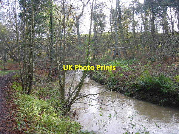 Photo 6"x4" Howick Burn and footbridge Howick\/NU2517 c2009