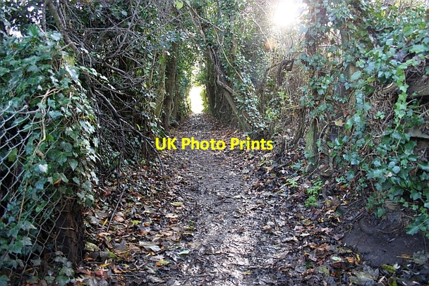 Photo 6"x4" Path towards the Hayslan Fields Great Malvern c2009
