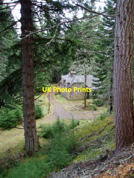 Photo 6"x4" House in the forest, Ardverikie Ardverikie c2009