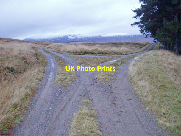 Photo 6"x4" Track junction, Ardverikie Forest Kinloch Loggan c2009