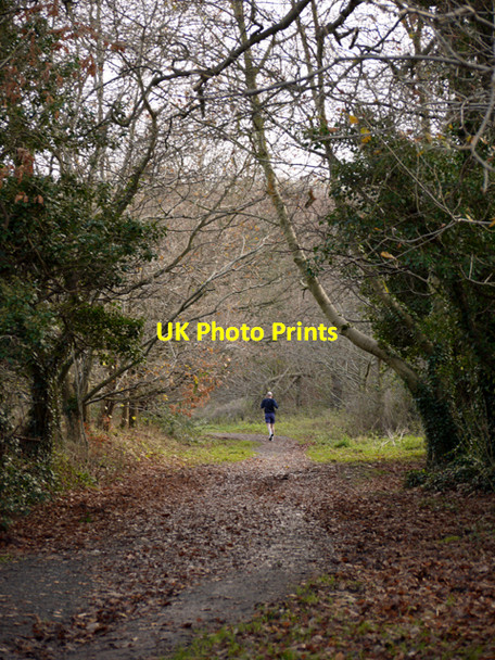 Photo 6"x4" Path, Barnett Demesne Drumbeg\/J3066 c2009 P1