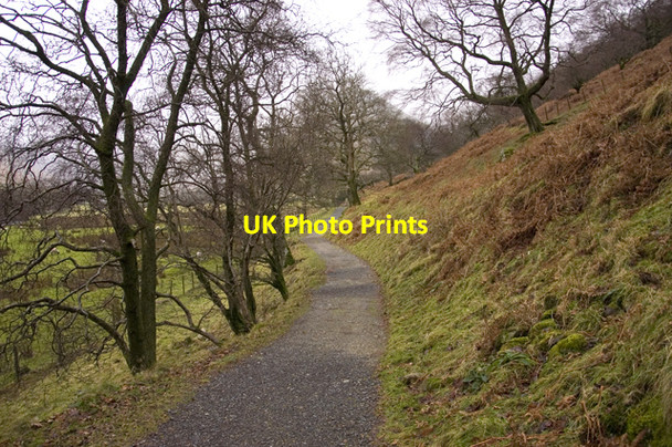 Photo 6"x4" Path from Brothers Water car park to Hartsop Hall Hartsop c2009