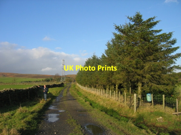 Photo 6"x4" Byway near Whitshields Thorngrafton c2009