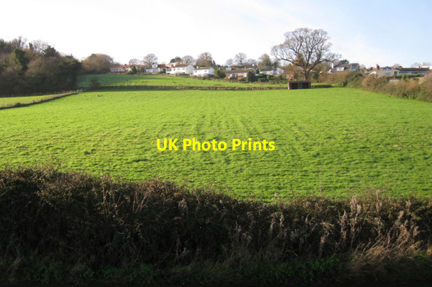 Photo 6"x4" Cofton Hill, Cockwood, and grassland to the south Cockwood\/SX9780 c2009