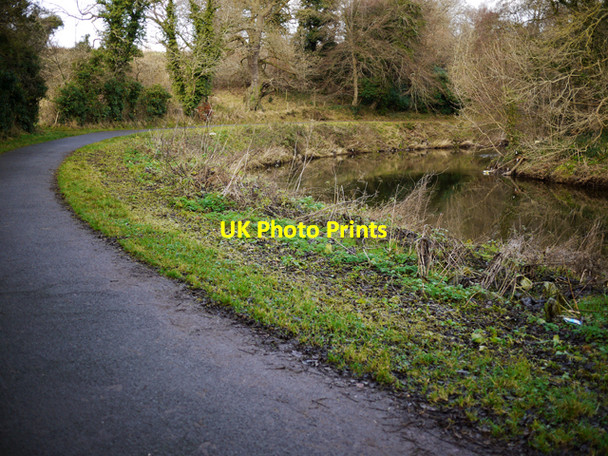 Photo 6"x4" The Lagan towpath near Newforge Drumbeg\/J3066 c2009