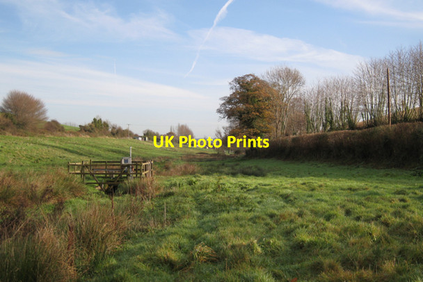 Photo 6"x4" Valley of Staplake Brook Cofton c2009