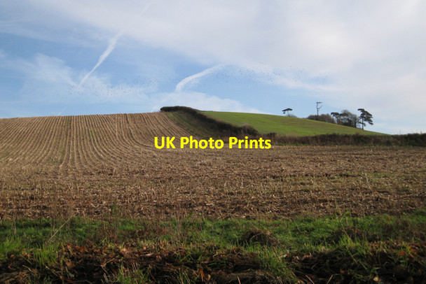 Photo 6"x4" Easter Hill Cofton c2009