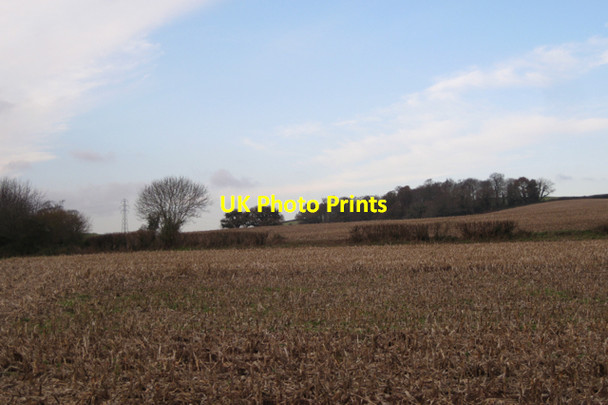 Photo 6"x4" Sliver of woodland east of Mowlish Farm (2) Cofton c2009