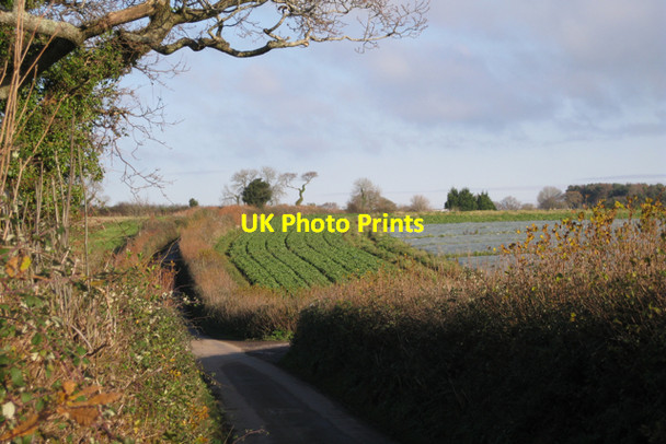 Photo 6"x4" Hestow Road continues to climb Ashwell\/SX8974 c2009