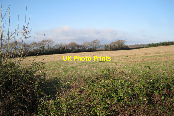 Photo 6"x4" A parish boundary hedgerow Ashwell\/SX8974 c2009