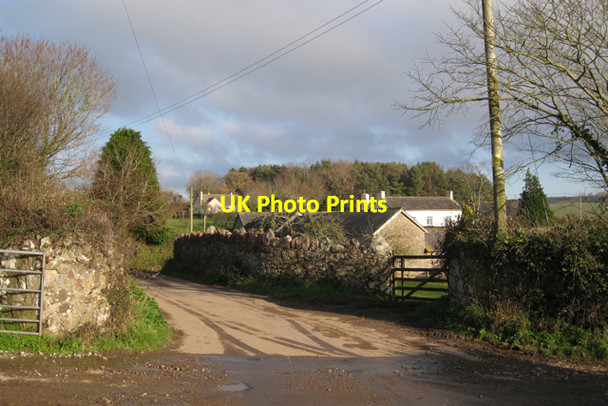 Photo 6"x4" Hestow Barton Ideford c2009