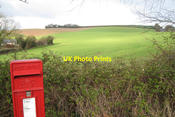 Photo 6"x4" Field north-east of Appledore Appledore\/ST0614 c2009