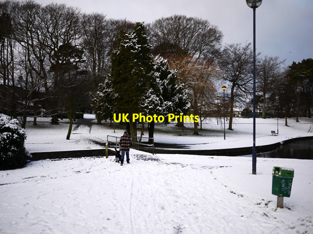 Photo 6"x4" Ward Park in the snow Bangor\/J5081 c2009