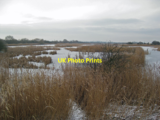 Photo 6"x4" Wintry Reed Beds, Barrow Haven Barrow Haven c2009