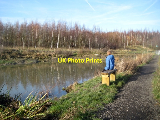 Photo 6"x4" Lofthouse Colliery Nature Park Tour (6) Carr Gate c2009