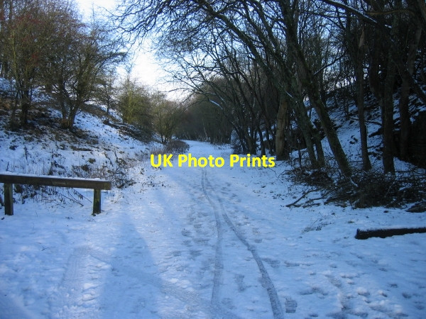 Photo 6"x4" South Tyne Trail at Coanwood Car Park Coanwood c2009