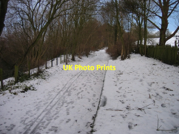 Photo 6"x4" South Tyne Trail at Coanwood Station Coanwood c2009
