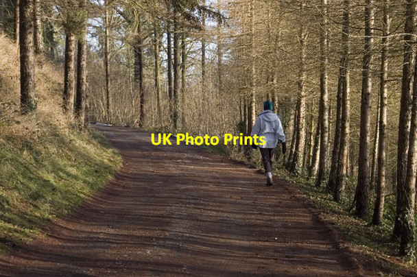 Photo 6"x4" Farm road to Whitbarrow Lodge Beck Head\/SD4484 c2009