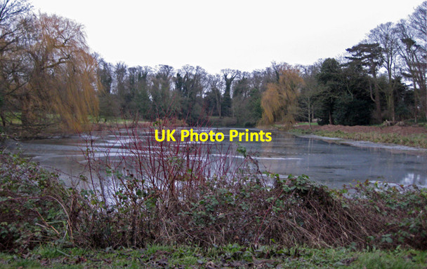 Photo 6"x4" Brocklesby Park - The Canal Brocklesby c2009