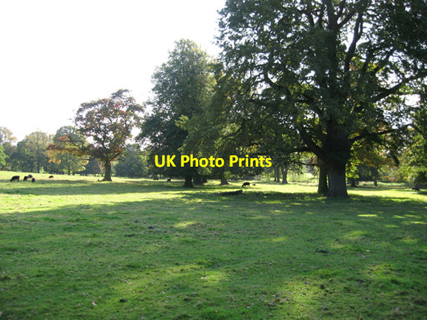 Photo 6"x4" Rothley Park Rothley\/SK5812 c2008