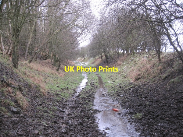 Photo 6"x4" Disused Railway Line Wark\/NY8677 c2009