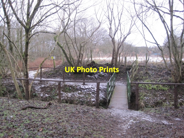 Photo 6"x4" Footbridge over The Dean Burn Wark\/NY8677 c2009