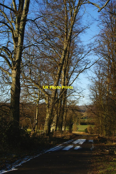 Photo 6"x4" Gid Lane, Upper Froyle, Hampshire Lower Froyle c2010