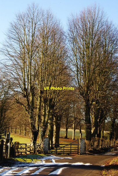 Photo 6"x4" Gid Lane, Upper Foyle, Hampshire Lower Froyle c2010