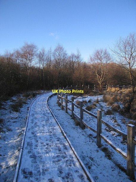Photo 6"x4" Boardwalk trail, Cors Caron Nature Reserve Tregaron c2010