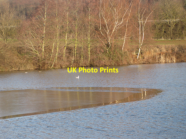 Photo 6"x4" Semi-frozen Drummond's Dub Bromsash c2010