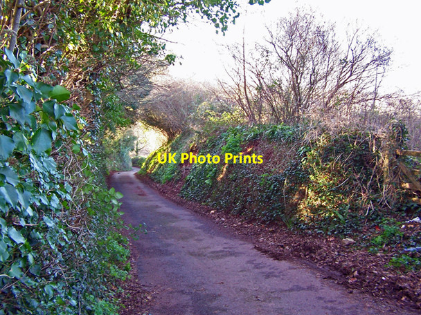 Photo 6"x4" Easterfield Lane, Torquay Torquay c2010