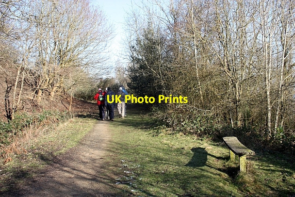 Photo 6"x4" Path to Berrington's Quarry Brand Green\/SO7641 c2010