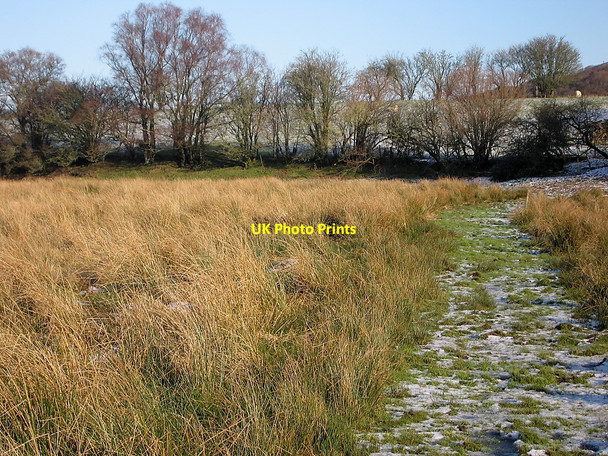 Photo 6"x4" Riverside Walk, Cors Caron Nature Reserve Tregaron c2010