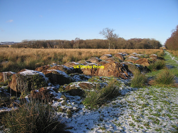 Photo 6"x4" Hay bales at the edge of Cors Caron Swyddffynnon c2010