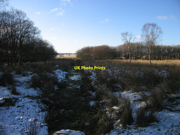 Photo 6"x4" Riverside Walk, Cors Caron Nature Reserve Swyddffynnon c2010